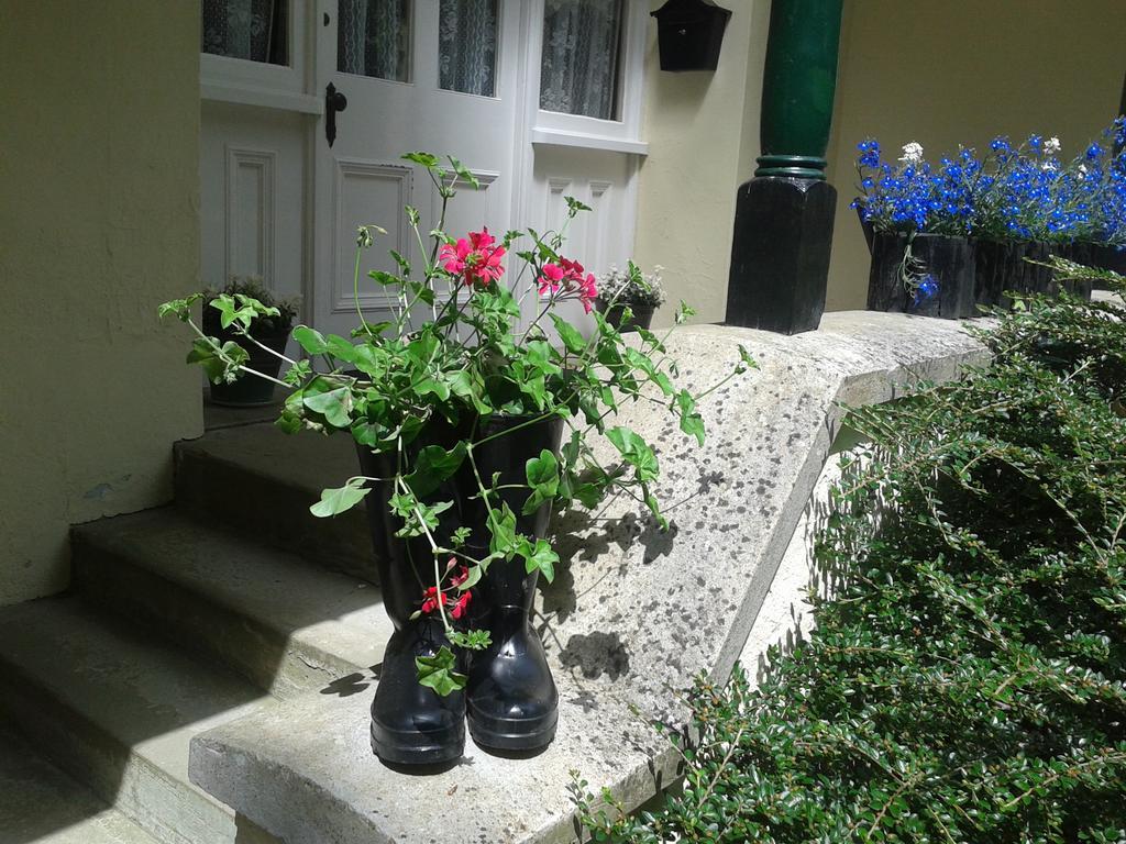 Bed and Breakfast Westleigh House Farm Bideford Pokoj fotografie