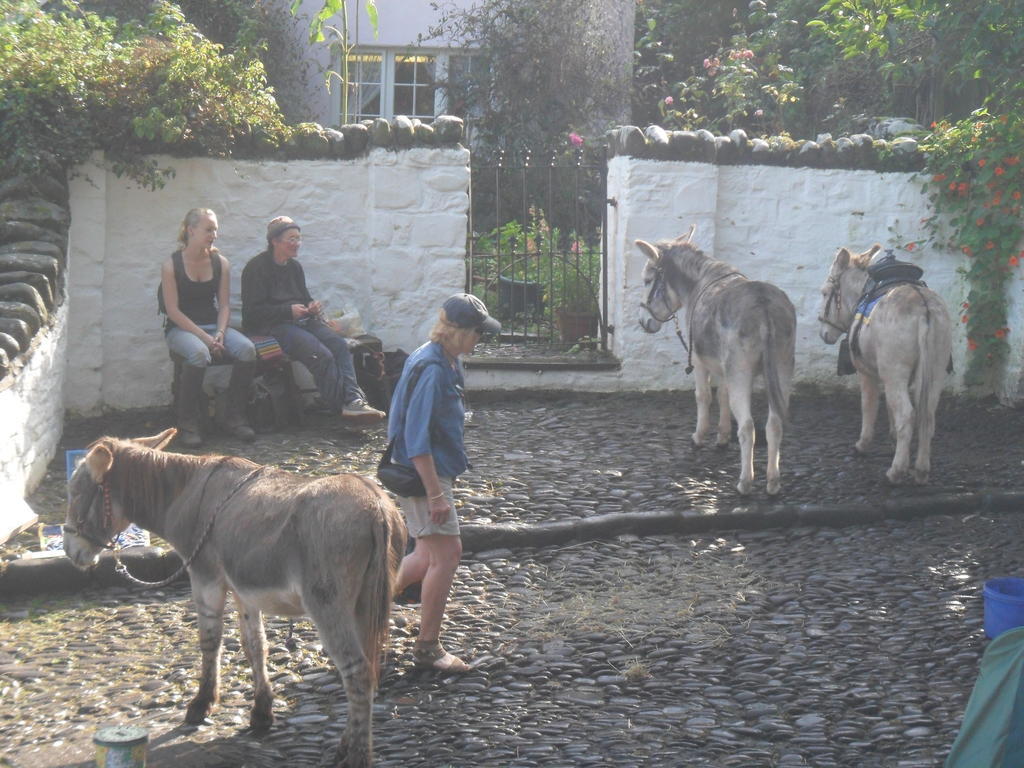 Bed and Breakfast Westleigh House Farm Bideford Exteriér fotografie